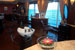 Lotus Spa Salon