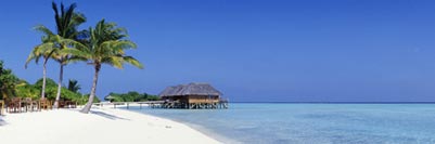 Hottest Vacation Deals