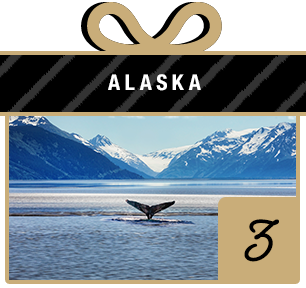 Book an Alaska cruise 