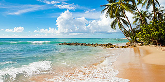 Bermuda Cruises